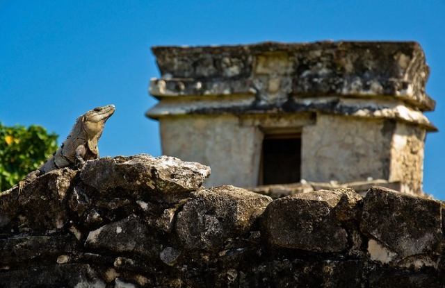  Rovine Maya 